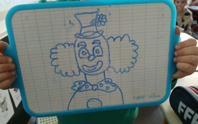 Classe Cirque