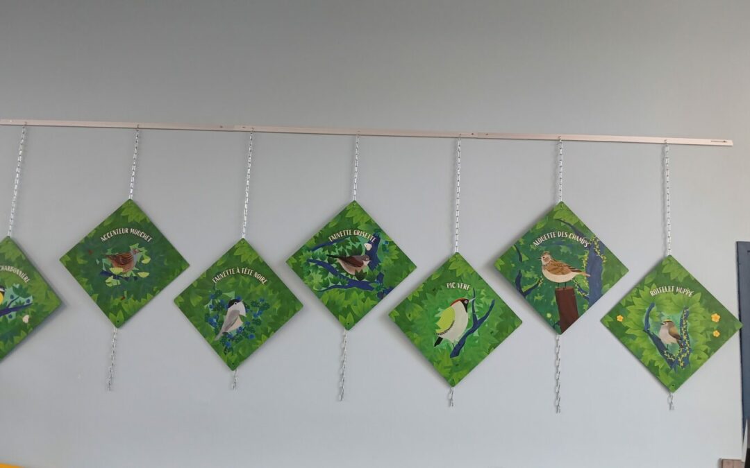 Animation à la bibliothèque